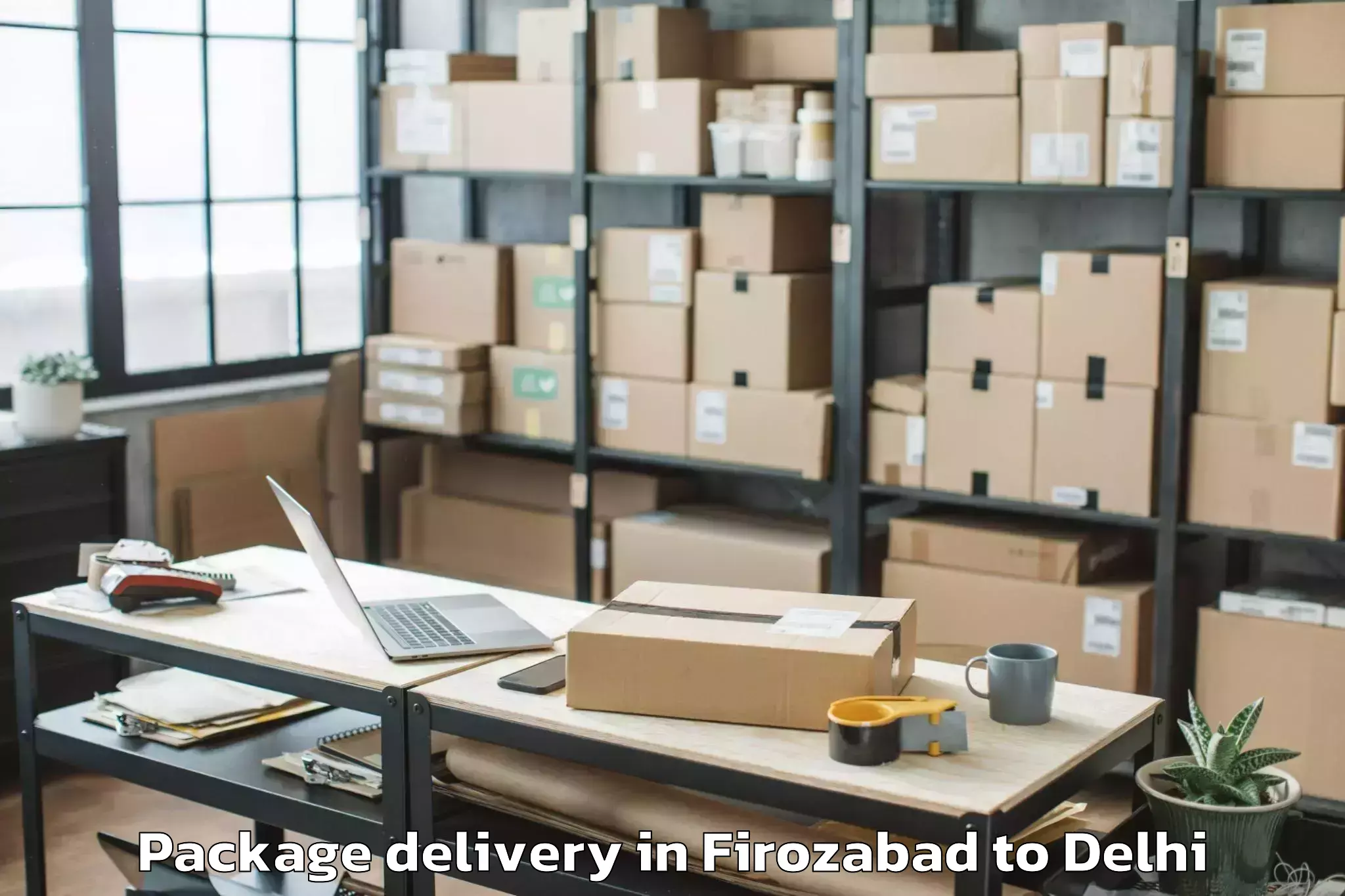 Firozabad to Parsvnath Mall Inderlok Package Delivery